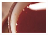 轰炸电话网页版